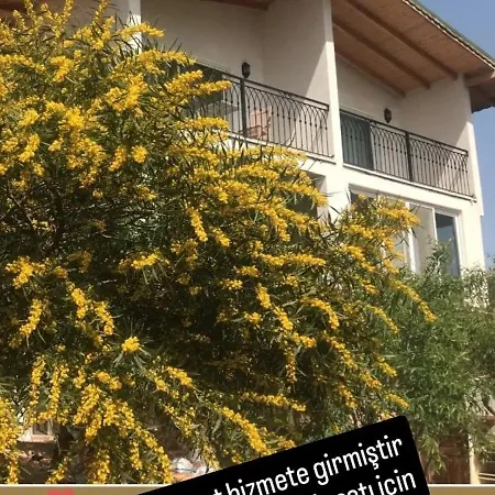 Apartment Galaba 2 *