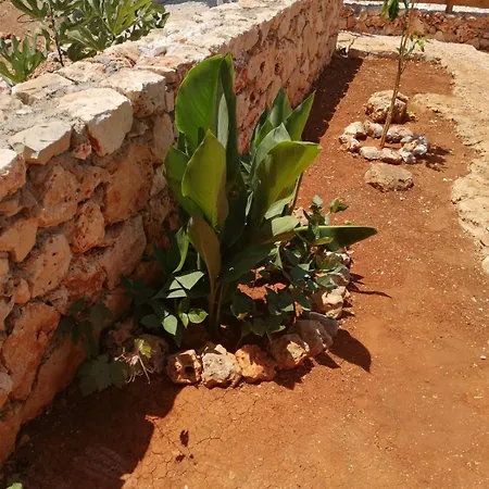 Apartment Galaba 2 Kas